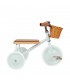 Banwood Trike - Pale Mint