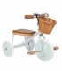 Banwood Trike - Pale Mint