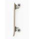 Skateboard Banwood Mint
