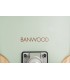 Skateboard Banwood Mint